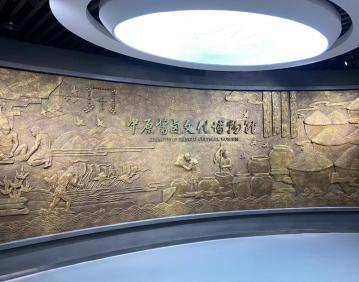 原陽九多肉多企業(yè)文化展廳